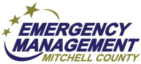 Emergency Management LOGO